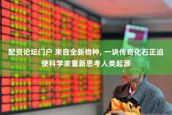 配资论坛门户 来自全新物种, 一块传奇化石正迫使科学家重新思考人类起源
